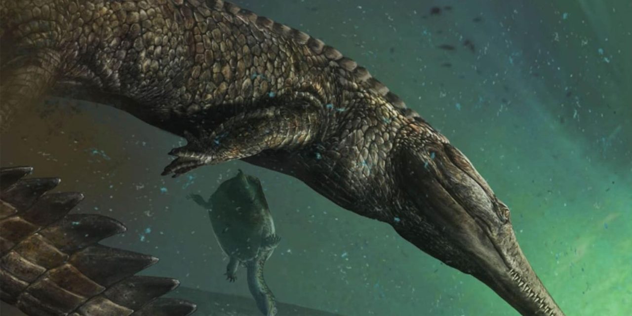 Un fossile de crocodile géant mis au jour en Tunisie